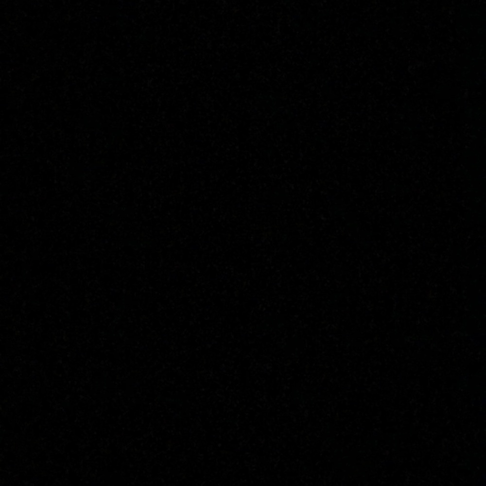 Meet your Posher, Laylah